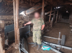 Российский предприниматель похитил у астраханского фермера 63 овцы