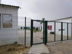 Свобода: в Астрахани неизвестные выпустили собак из приюта для животных