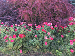 Прогноз погоды, именины, праздники в Астрахани 23 октября 