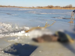 В Астраханской области нашли тело пропавшего рыбака
