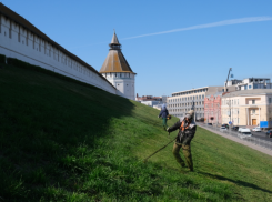 Зелень Астраханского кремля обретает форму и красоту