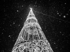 Когда и где астраханцы смогут увидеть первые новогодние елки