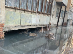 «Астрводоканал» заплатит 11 миллионов рублей за разливы канализационных вод