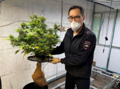 Спичечные коробки привели астраханскую полицию к наркоферме