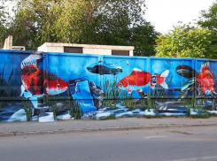 В Астрахань приплыли огромные золотые рыбки