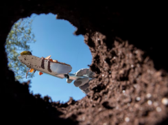 Житель Киргизии спрятал в Астрахани 360 свертков с наркотиками