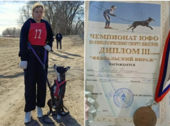 Астраханка и ее питбультерьер взяли «бронзу» Чемпионата по кинологическому спорту