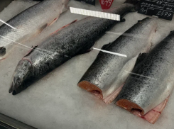 Астраханцев защитили от рыбы сомнительного качества стоимостью более 8 миллионов