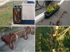 В Астрахани подростки-вандалы сломали новые урны, скамейки и повредили деревья