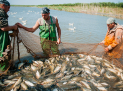 В Астрахани закрывают въезд для рыбаков и охотников 