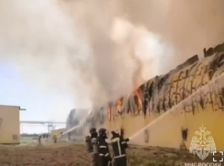 Стало известно, сколько кур сгорело в Астраханской области на птицефабрике