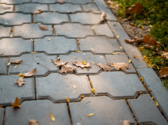 Дожди и солнце: какая погода ждёт астраханцев на следующей неделе 