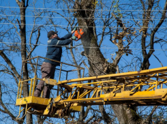 Астраханское управление по коммунальному хозяйству обязали опилить деревья у подведомственных ПКФ «Надежда» домов