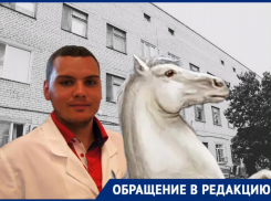 «Всадник на белом коне». Как коллектив Ахтубинской ЦРБ встретил своего нового главврача