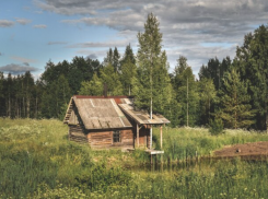 Астраханцы увеличивают свои земельные участки через «лесную амнистию»
