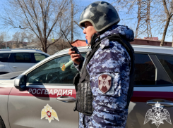 Букеты, конфеты, игрушка: астраханка спрятала краденые вещи в детскую коляску