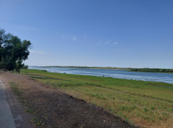  В Астраханской области расчистят рыбоходные каналы