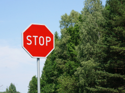 1 июня выпуск осетров перегородит астраханским водителям дорогу 