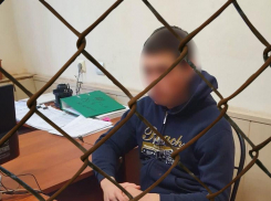 Астраханский суд приговорил псковича к 9 годам тюрьмы за убийство друга топором