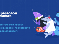 VK и АНО «Цифровая экономика» запускают новый сезон «Цифрового ликбеза»