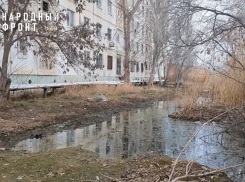 В астраханском жилом доме растут грибы, плесневеют квартиры и разрушаются полы