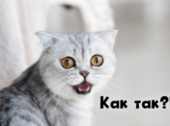 Некоторым астраханцам отключили горячую воду раньше срока
