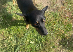 Погода, праздники, именины во вторник 17 октября