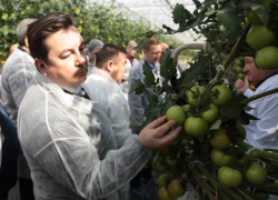 Астраханские томаты приняли участие в форуме «Малая Родина – сила России»