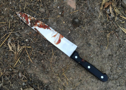 20 смертельных ударов: астраханец, зарезавший соседа, лишился свободы