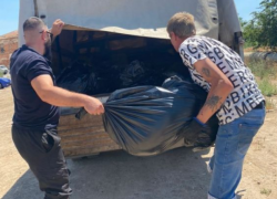 В Астрахани неизвестные устроили массовую травлю уличных собак