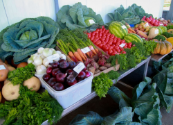 9 сентября у Центрального стадиона в Астрахани откроют сельхозярмарку