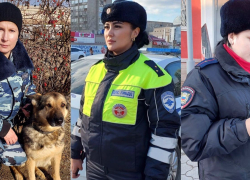 Астраханские женщины полицейские рассказали о поисках террористов, задержании опасных водителей и предотвращении преступлений на своем участке