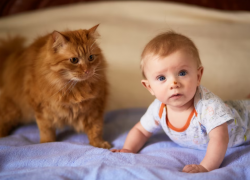 В Астрахани за август родились 14 Львов