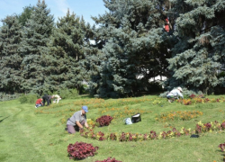 В Астрахани на площади Ленина привели в порядок цветники