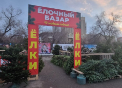 Жители Астрахани попросили – администрация сделала
