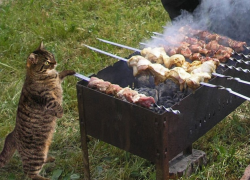 В России предложили удлинить майские праздники с 1 по 9 мая