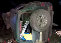 Ещё одна лошадь стала причиной серьёзного ДТП под Астраханью 