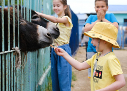 В Астраханском эколого-биологическом центре прошел День открытых дверей 