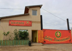 В Астраханской области напавшие на зоопарк собаки загрызли еще 40 овец