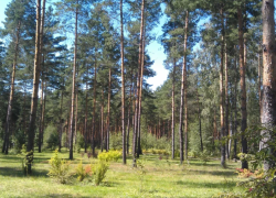 Астраханцев попросили уведомлять МЧС о своих вылазках на природу