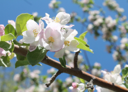 Прогноз погоды, именины, праздники в Астрахани в четверг 27 апреля