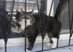 Погода, праздники, именины во вторник 3 октября 