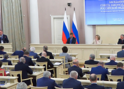 Игорь Мартынов выступил в Совете законодателей с предложениями по обеспечению финансовой устойчивости регионов в новых условиях