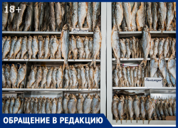 "Рыба дороже жизни": астраханцы нашли виновных в смерти рыбака, но у следствия другая версия 