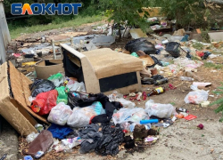 Жители улицы Савушкина: мусор с улиц не вывозят уже полтора месяца