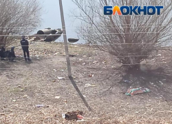 Следователи выяснили, от чего погиб астраханец, на теле которого нашли следы собачьих укусов