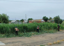 В Астрахани занимаются ликвидацией потенциального источника возгораний