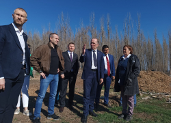 Игорь Седов: "Вокруг Астрахани посадят защитный пояс из деревьев"