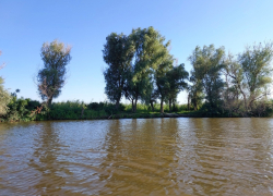 В Астраханскую область по особой просьбе стали пускать больше воды