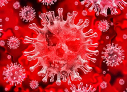 За 3 августа более 150 астраханцев заразились COVID-19